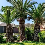 Hotel Palmetto