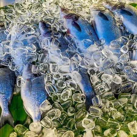 Szálloda Palmetto 2*