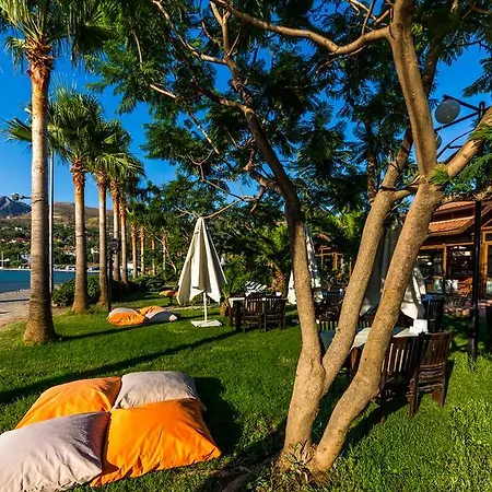 Szálloda Palmetto Selimiye