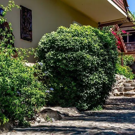 Palmetto Szálloda 2*