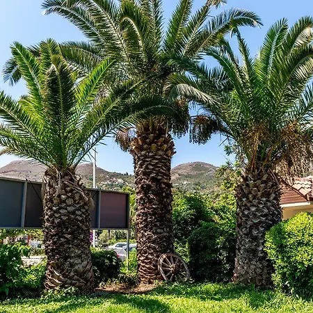 Szálloda Palmetto
