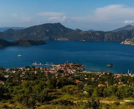Palmetto Selimiye Selimiye (Aegean)