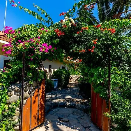 Palmetto Selimiye Hotel 2*