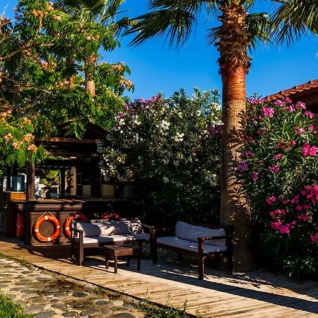 Palmetto Selimiye