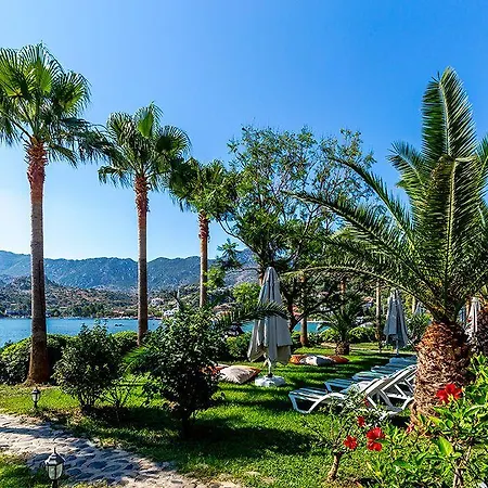 Palmetto فندق السليمية