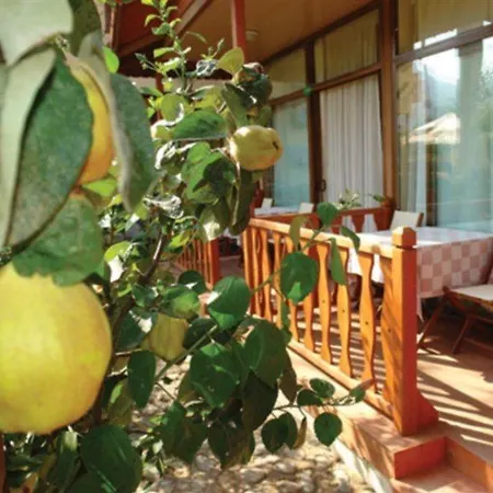 Hotel Palmetto Selimiye