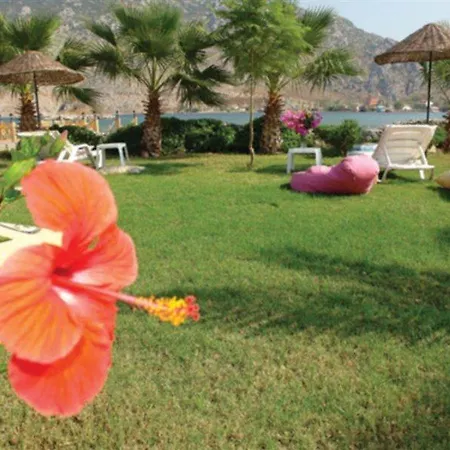 Palmetto Selimiye