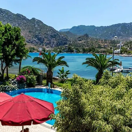 Palmetto Selimiye