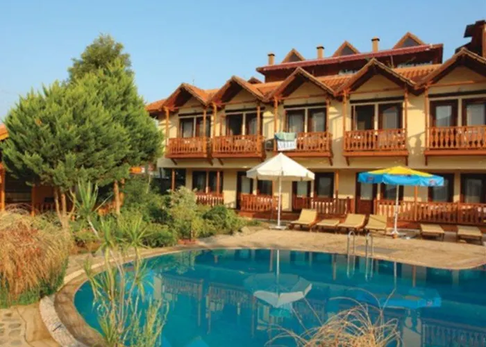 Palmetto Σελιμιγιέ